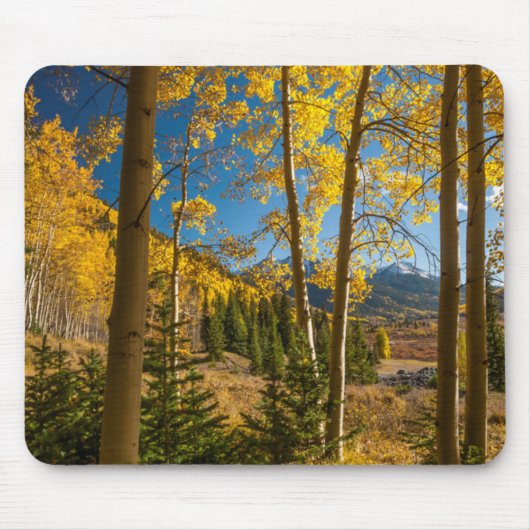 Landschap in San Juan Mountains Muismat (Voorkant)