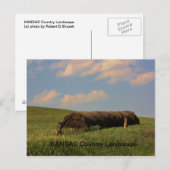 Landschap KANSAS Briefkaart (Voorkant / Achterkant)