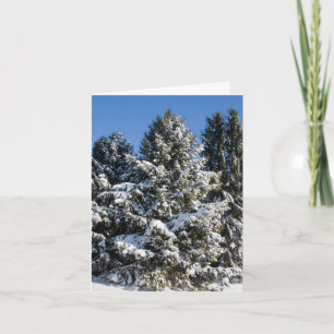 Landschap Kerst Kaarten