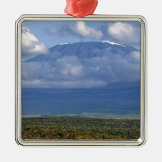 Landschap Landschappen op de Kilimanjaro Tanzania Metalen Ornament