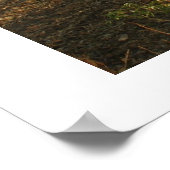 Landschap Mannheim 1 Poster (Hoek)