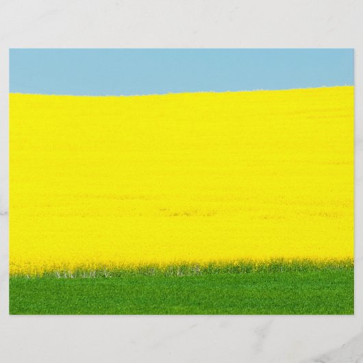 Landschap Meadow Flyer (Voorkant)