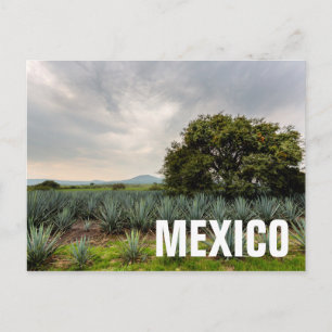 Landschap met blauw Agave Briefkaart