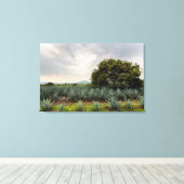 Landschap met blauw Agave Canvas Afdruk (Insitu (Houten vloer))