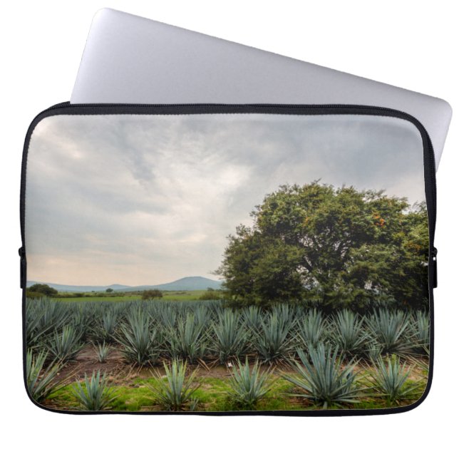 Landschap met blauw Agave Laptop Sleeve (Voorkant)