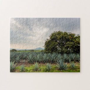 Landschap met blauw Agave Legpuzzel