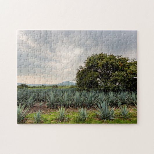 Landschap met blauw Agave Legpuzzel (Horizontaal)