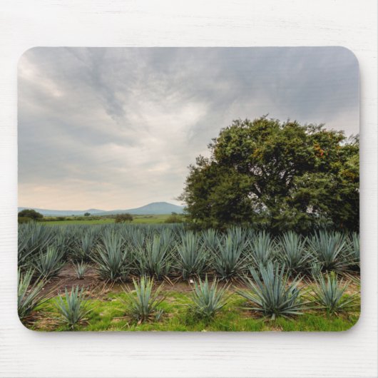 Landschap met blauw Agave Muismat (Voorkant)