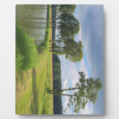Landschap met bomen fotoplaat (Voorkant)