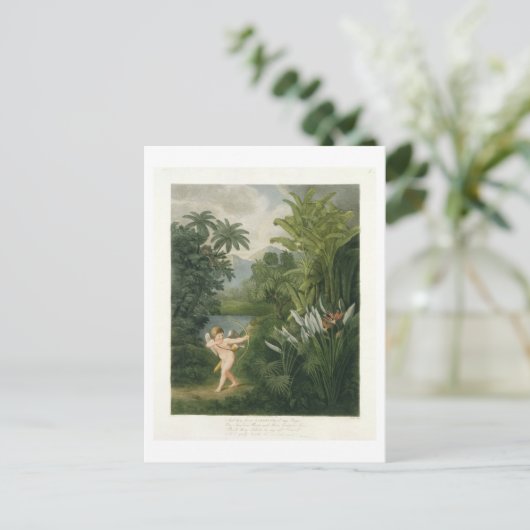 Landschap met Cupid die een pijl op een Parrot ric Briefkaart (Staand voorkant)