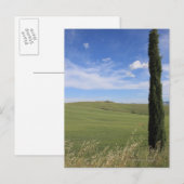 Landschap met Cypress Briefkaart (Voorkant / Achterkant)