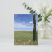 Landschap met Cypress Briefkaart (Staand voorkant)