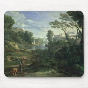 Landschap met Diogenes, 1648 Muismat
