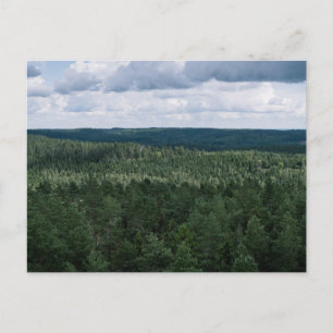 Landschap met groen bos uitzicht vanaf de top Foto Briefkaart