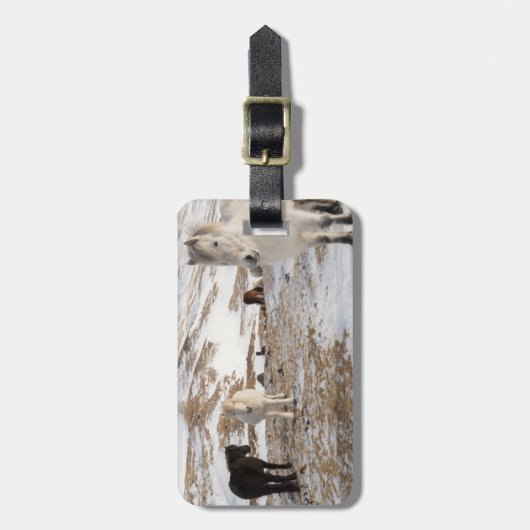 Landschap met IJslandse paarden Bagagelabel (Voorkant verticaal)