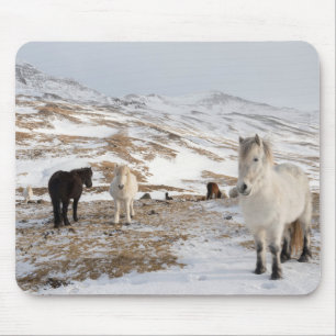 Landschap met IJslandse paarden Muismat