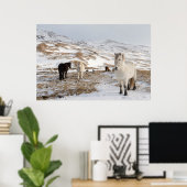 Landschap met IJslandse paarden Poster (Thuiskantoor)