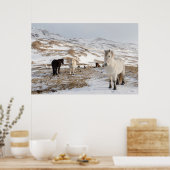 Landschap met IJslandse paarden Poster (Keuken)