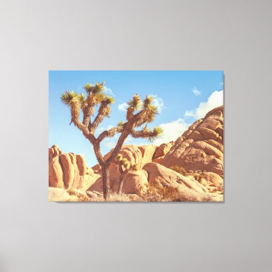 Landschap met Joshua-bomen en rotsformaties Canvas Afdruk (Voorkant)