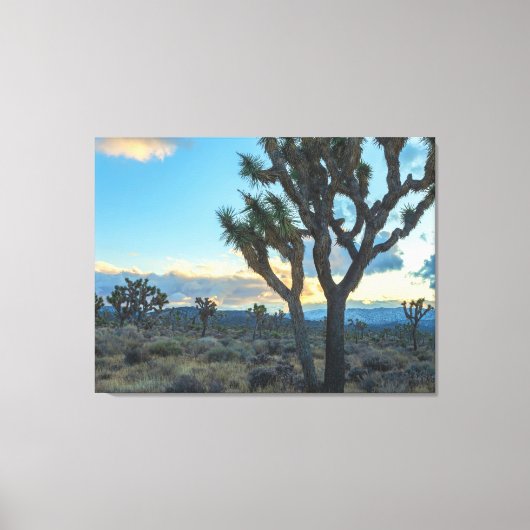 Landschap met Joshua Trees bij zonsondergang Canvas Afdruk (Voorkant)
