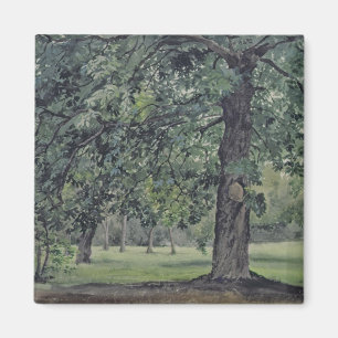 Landschap met kastanjeboom op voorgrond magneet