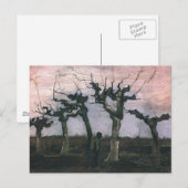 Landschap met knotwilgen briefkaart (Voorkant / Achterkant)