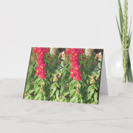 Landschap met lucht Water Bloemen Meer GIFTS leuk Feestdagen Kaart (Voorkant)