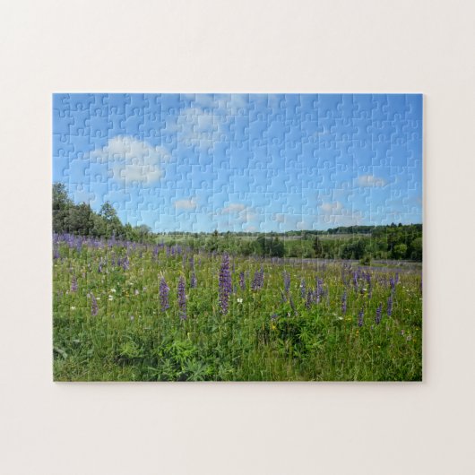 Landschap met lupinen  - legpuzzel (Horizontaal)