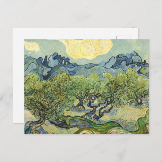 Landschap met Olive Vincent Willem van Gogh Briefkaart (Voorkant / Achterkant)