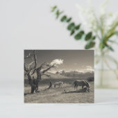 Landschap met paarden briefkaart (Staand voorkant)