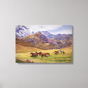 Landschap met paarden in Georgische bergen Canvas Afdruk