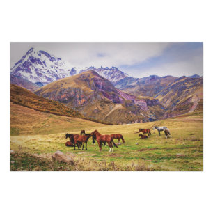 Landschap met paarden in Georgische bergen Foto Afdruk