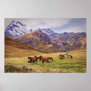 Landschap met paarden in Georgische bergen Poster