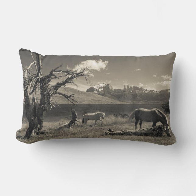 Landschap met paarden kussen (Voorkant)