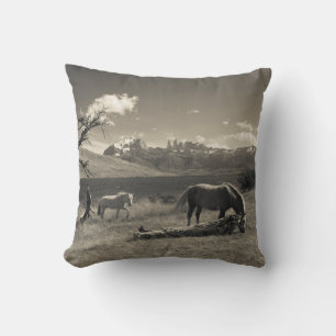 Landschap met paarden kussen