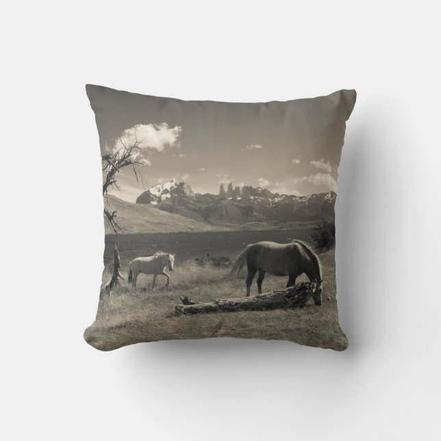 Landschap met paarden kussen (Voorkant)
