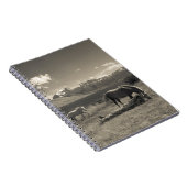 Landschap met paarden notitieboek (Rechterzijde)