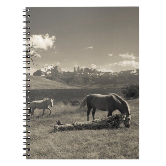 Landschap met paarden notitieboek (Voorkant)