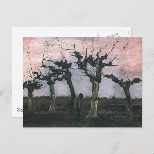 Landschap met Pollard Willows Briefkaart (Voorkant / Achterkant)