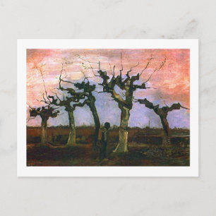 Landschap met Pollard Willows, Vincent van Gogh Briefkaart