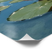 Landschap met roze waterbloesems en bewolkte lucht perfect poster (Hoek)