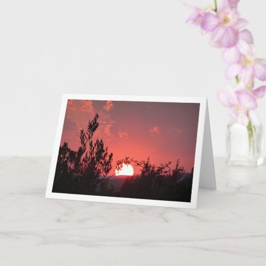 Landschap met roze zonsondergang kaart (Orchidee)