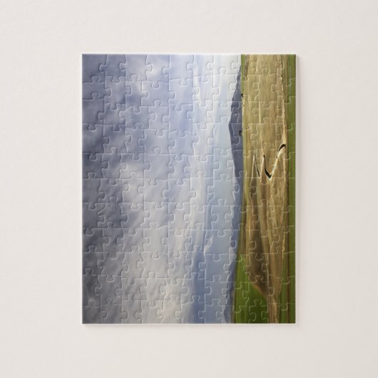 Landschap met tarwevelden, Grabouw, Western Legpuzzel (Verticaal)