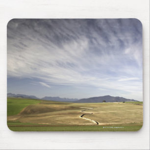 Landschap met tarwevelden, Grabouw, Western Muismat