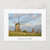 Landschap met windmolens en schapen briefkaart (Voorkant)