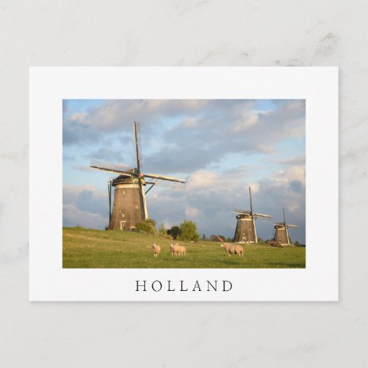 Landschap met windmolens en schapen briefkaart (Voorkant)