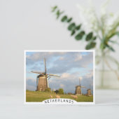 Landschap met windmolens en schapen briefkaart (Staand voorkant)
