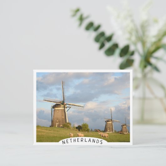 Landschap met windmolens en schapen briefkaart (Staand voorkant)