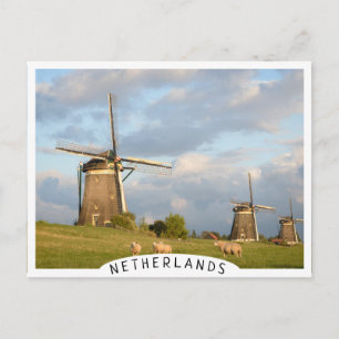 Landschap met windmolens en schapen briefkaart