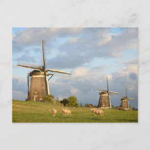 Landschap met windmolens en schapen briefkaart